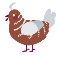 A russet and mist chicken with a half-bar pattern