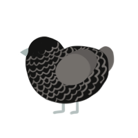 Dark marble, a black and grey chicken with a lace pattern