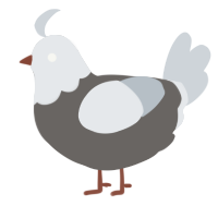 A grey and mist chicken with a head pattern