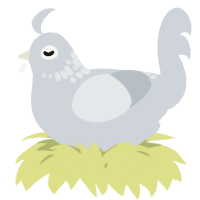 A mist chicken with a neck-speckle pattern