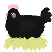 A black and sable chicken with a neck-speckle pattern