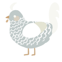 A silver and white chicken with a lace pattern