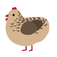 A beige and bark chicken with a half-lace pattern
