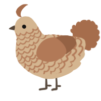 A beige and brown chicken with a lace pattern
