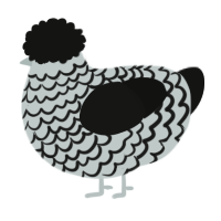 A silver and black chicken with a lace pattern