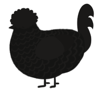 A black and sable chicken with a lace pattern