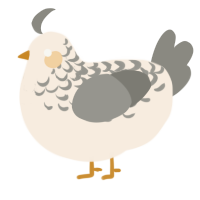 A cream and ash chicken with a half-lace pattern