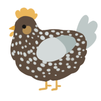 A bark and silver chicken with a speckle pattern