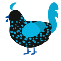 A black and cerulean chicken with a speckle pattern