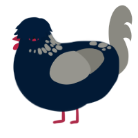 A tumblr and ash chicken with a neck-speckle pattern