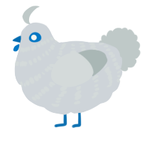 A mist and silver chicken with a bar pattern