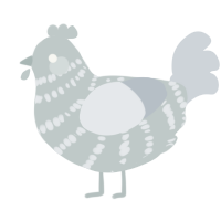 A silver and mist chicken with a bar pattern