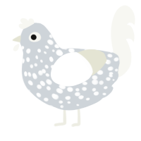 A mist and white chicken with a speckle pattern