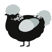 A black and silver chicken with a neck-speckle pattern