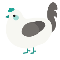 A white and grey chicken