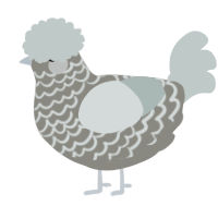 A ash and silver chicken with a lace pattern