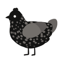 A black and grey chicken with a speckle pattern