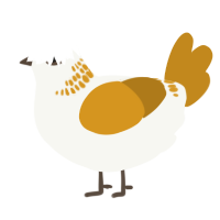 A white and ochre chicken with a neck-band pattern