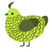 A lime and olive chicken with a lace pattern