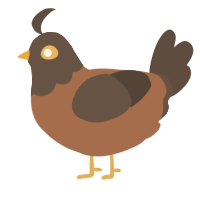 A brown and bark chicken with a head pattern