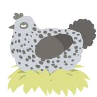 A mist and grey chicken with a speckle pattern