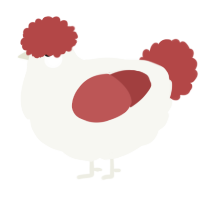 A white and red chicken