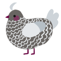 A grey and mist chicken with a lace pattern