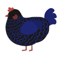 A sable and navy chicken with a lace pattern