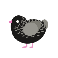 (unnamed), a sable and ash chicken with a half-lace pattern