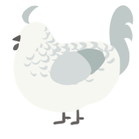 A white and silver chicken with a half-lace pattern