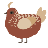A russet and beige chicken with a half-lace pattern