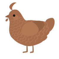 A brown chicken with a lace pattern