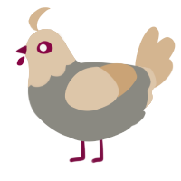 A ash and beige chicken with a head pattern