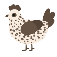 A cream and bark chicken with a speckle pattern