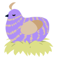 A lilac and beige chicken with a bar pattern