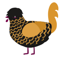 A sable and orange chicken with a lace pattern