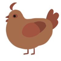 A brown and russet chicken