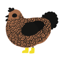 A brown and black chicken with a double-lace pattern