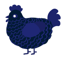 A tumblr and navy chicken with a lace pattern