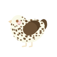 A white and bark chicken with a speckle pattern