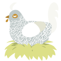 A silver and white chicken with a double-lace pattern