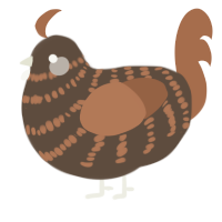 A bark and brown chicken with a bar pattern