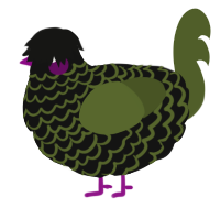 A black and olive chicken with a lace pattern