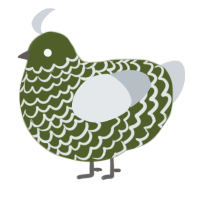 A olive and mist chicken with a lace pattern