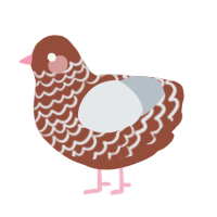 A russet and mist chicken with a lace pattern
