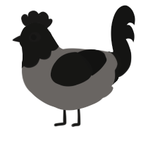 A grey and black chicken with a head pattern