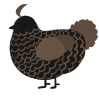 A sable and bark chicken with a lace pattern