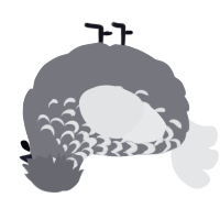 A ash and sable chicken with a half-lace pattern