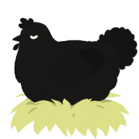 A sable and black chicken with a double-lace pattern
