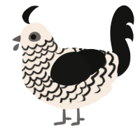 A cream and black chicken with a lace pattern